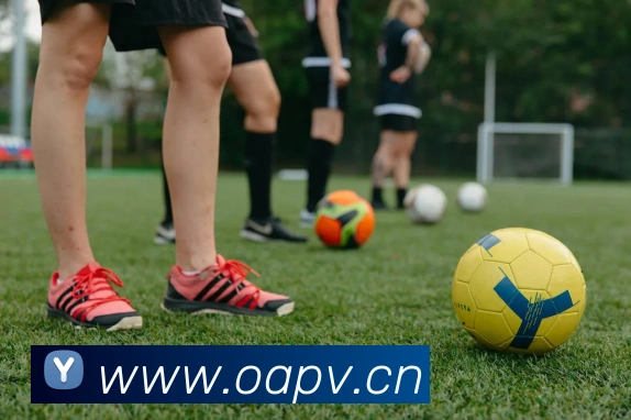 开云官方在线登陆入口服务体系